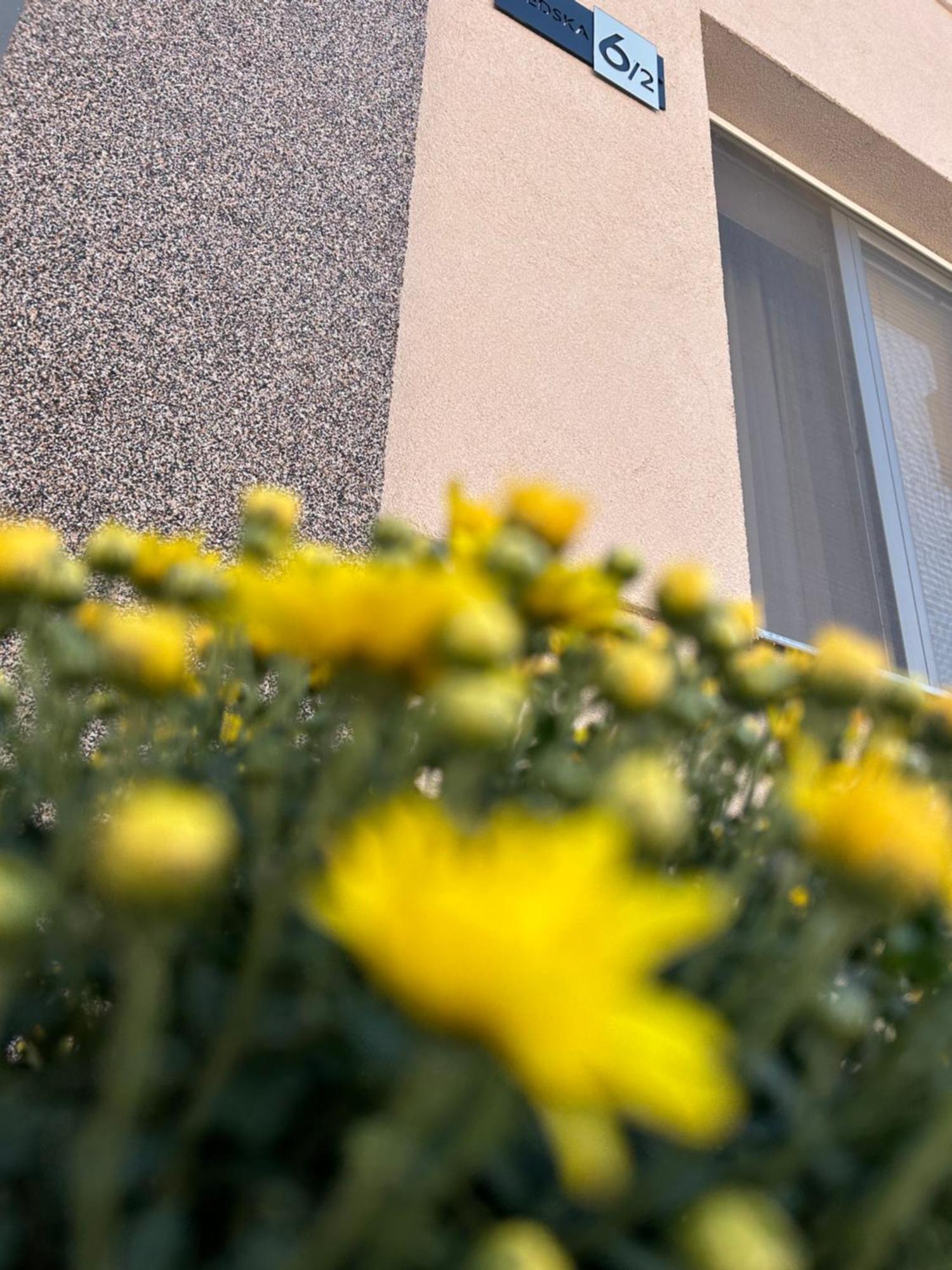 Apartman Teodora Subotica Exterior photo